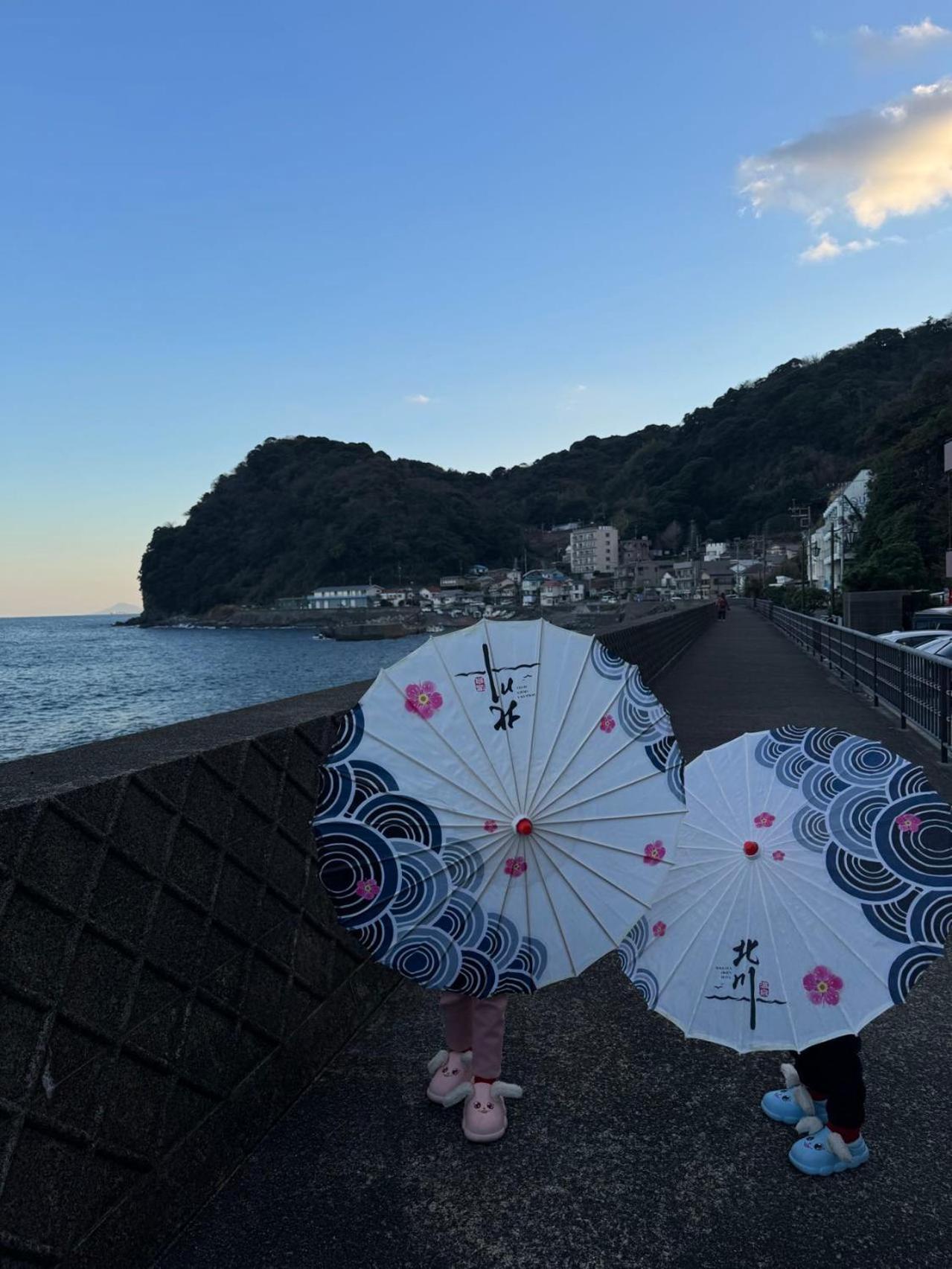 Hokkawa Onsen Hotel Хигасиидзу Экстерьер фото
